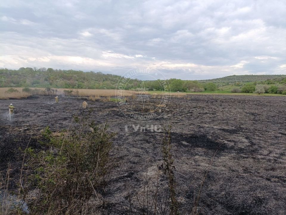 В Рыбницком районе между сёлами Андреевка и Колбасна сегодня горел камыш В Рыбницком районе между сёлами Андреевка и Колбасна сегодня горел камыш