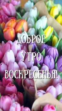 17 ��� - �������, ������� �������� ������ � �� ���������� �, ��������� ������ ������