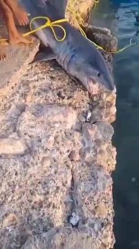 ����� ���������� ������� ������ � ������� ��� ���� ���������� � ������� ������� � ����-���-�����