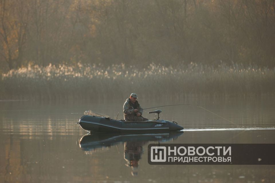 В Приднестровье разрешили лов сельди до 7 июня
