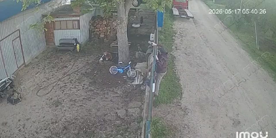 Пенсионерка из Дубоссар подозревала соседа в неуплате налогов и сама нарушила закон