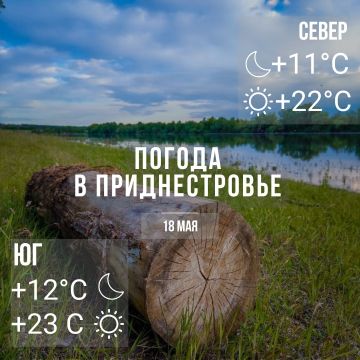 Днём – до +23°С, местами дожди