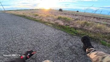 ������� ���� ������ ������ � �������������: