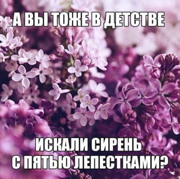 ������� � ������������� ���� ������