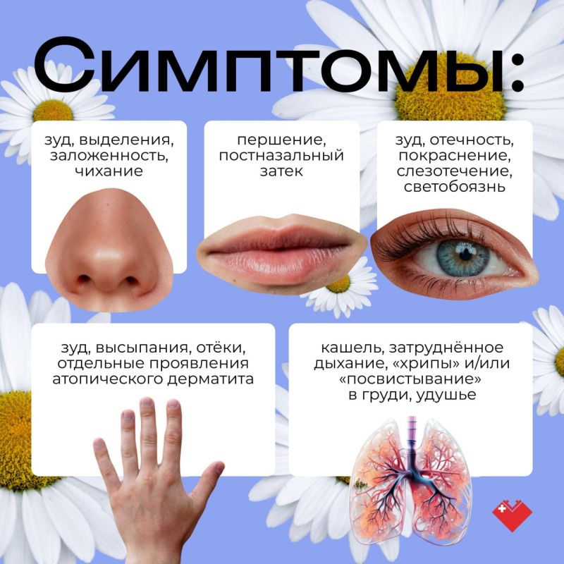 Профилактика и лечение аллергии: бесплатные консультации специалистов