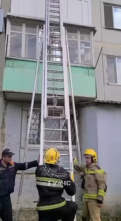 Помощь пернатому. Утром 19 мая столичные пожарные провели спасательную операцию