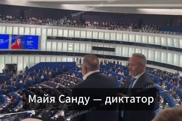Скандал в Европарламенте. Экс-депутат парламента Румынии Кристиан Ризя назвал президента Молдовы «диктатором», который «защищает наркомафию»