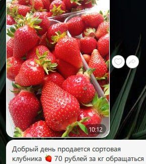 �������� �� 70 ������ ���������� � ������������