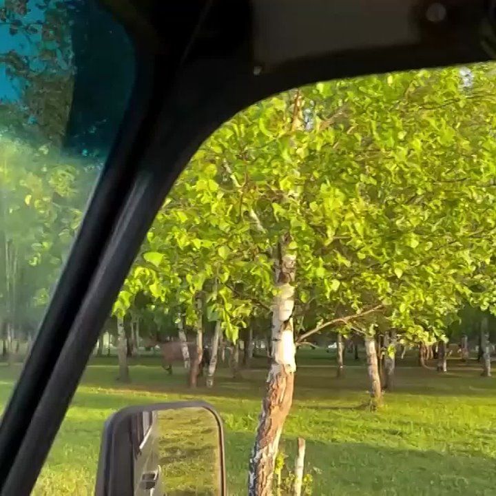 В Башкирии мама-лошадь позвала людей на помощь своему жеребёнку