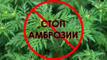 � ���������� ���������� � �������� ���������� �� ������� �������� ��������������