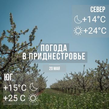���� � �� +25��. ������� �����, �������� �����