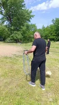 ������ ������������� ����� � ����� ������������ � ������� ����, ������� ����� ������ �� ������ ����������