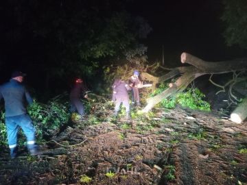 Наркопреступления, застрявшая на балконе и последствия непогоды — сводка МВД и ГУпЧС
