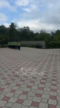 Нужно правила движения, Выполнять без возражения