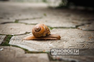 На следующей неделе — минимум дождя и максимум солнца