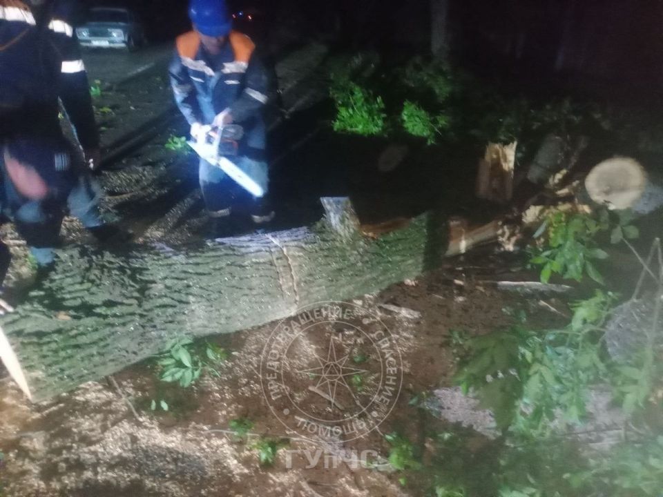 После ливня, грозы и града несколько сёл в Григориопольском районе оставались без света