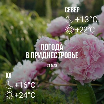 Днём – до +24°С, кратковременные