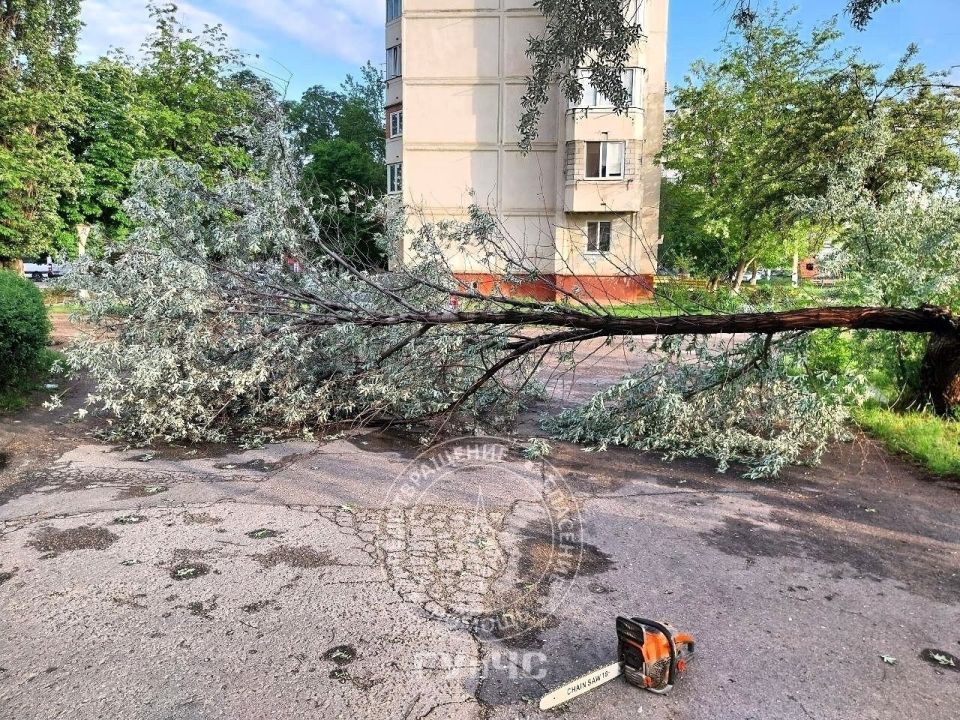 Накануне часть Григориополя и несколько сёл района остались без света – из-за сильного ветра деревья упали на линии электропередач