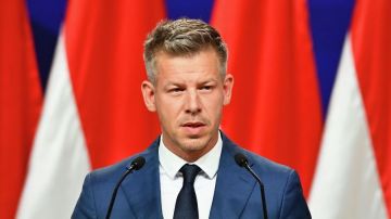 Венгрия запрещает импорт украинской сельхозпродукции — премьер-министр страны Мадьяр