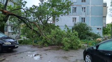 � ��� �� ���������. �����, ���� � ������ �� ����������