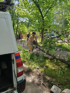 Сегодня в Рыбнице большие ветки упали на тротуар и проезжую часть