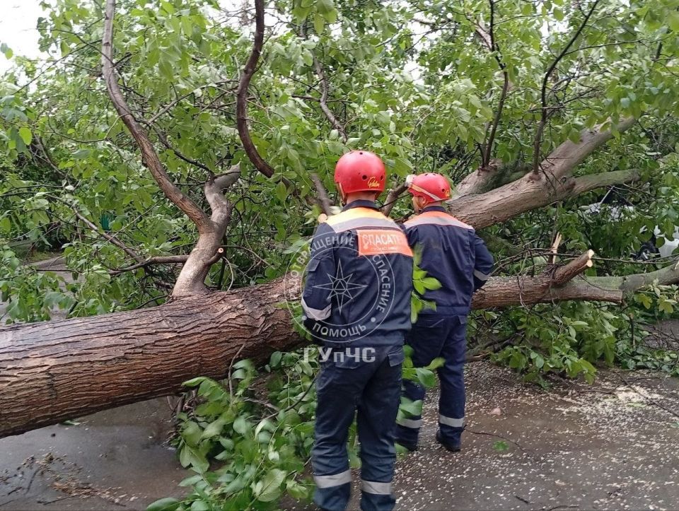 Спасатели продолжают устранять последствий непогоды
