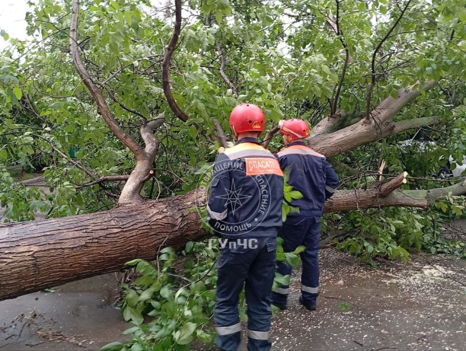 ГУпЧС: ПОСЛЕДСТВИЯ НЕПОГОДЫ ГУпЧС: ПОСЛЕДСТВИЯ НЕПОГОДЫ