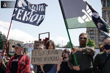 На Майдане Независимости проходит митинг против трудовой миграции