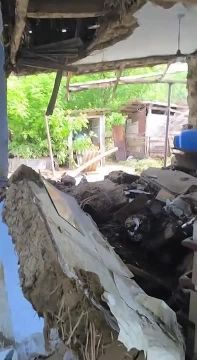 � ���������� ���� ������ ������������ ������ ����� ���� �� ����� ���������� ����� ���� ���