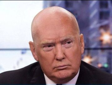 ��������� ������� ����������� ��������� ���� ����� � ����, ����� Der Spiegel