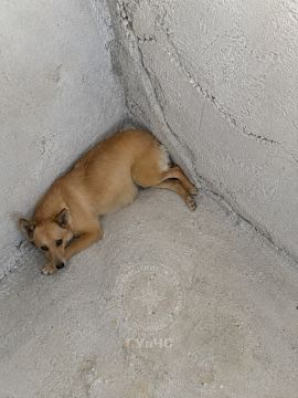 ������� ���� ������ � �������