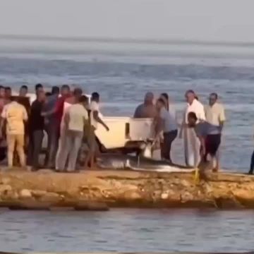 � ������ �������� ��� ������� ��������� ����� ��������� ���� � ������ �������, ����-���-����� � ���-�������