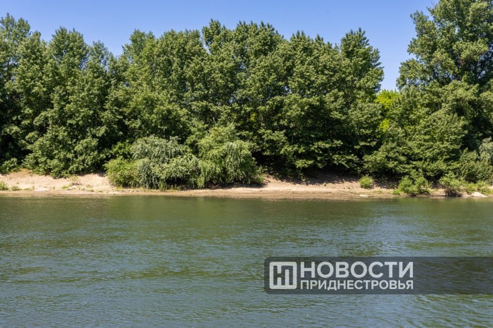 Возможная причина массовой гибели рыбы в Днестре – то, что содержание аммиака в воде в 2 раза выше, а уровень кислорода – в 2–3 раза ниже нормы Возможная причина массовой гибели рыбы в Днестре – то, что содержание аммиака в воде в 2 раза выше, а уровень кислорода – в 2–3 раза ниже нормы