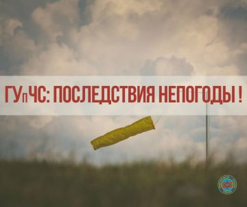 �����: ����������� ��������
