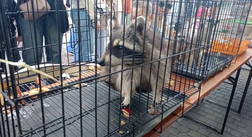 Детский праздник в Бендерской крепости Детский праздник в Бендерской крепости