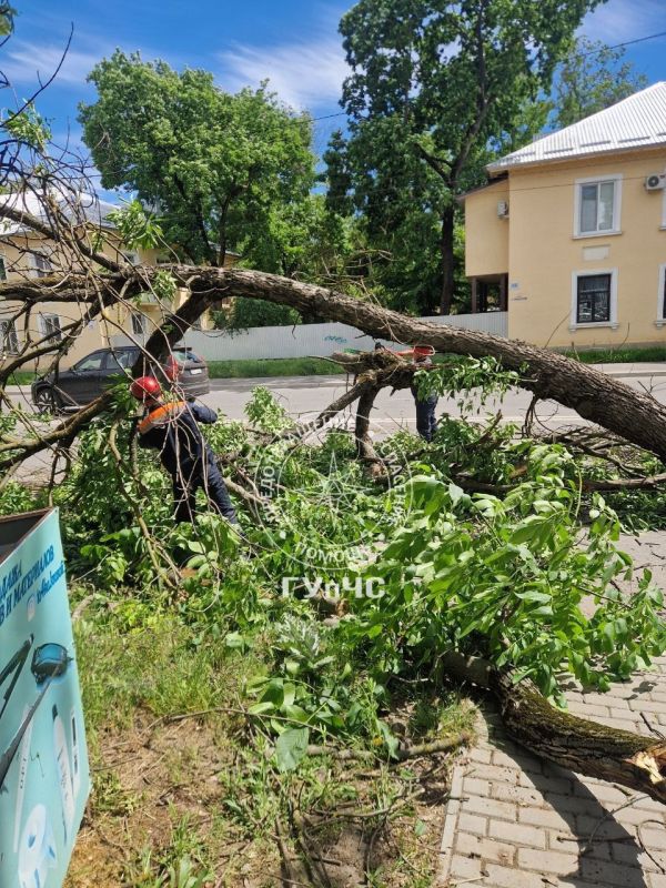 В столице вчера ближе к вечеру усилился ветер В столице вчера ближе к вечеру усилился ветер