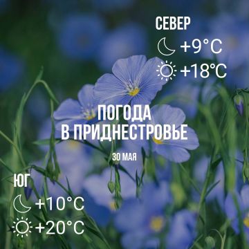Днём – до +20°С, местами кратковременный