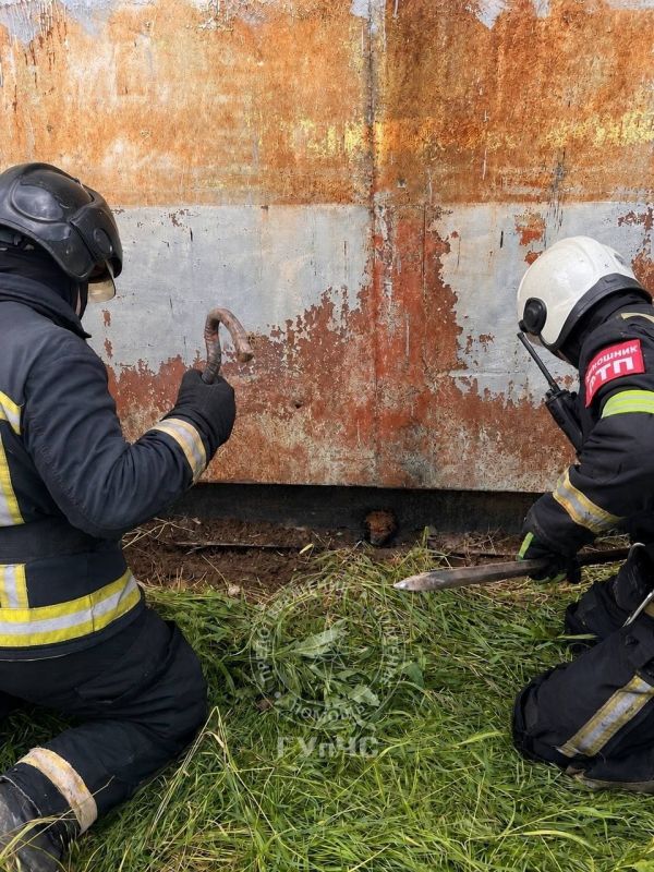 Щенок застрял в строительном вагончике на столичной улице Ларионова