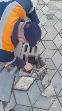 «Малой живой! Грязный, перепуганный», — колючего достали из ливнёвки