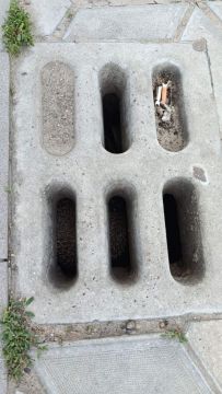 В Дубоссарах спасли ежа, застрявшего в водосточном стоке
