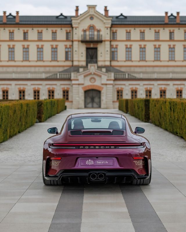 Porsche представил спорткар „Tree of Life” с молдавскими национальными элементами Porsche представил спорткар „Tree of Life” с молдавскими национальными элементами