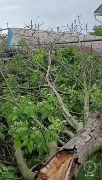 Краткий обзор прошедших выходных и главных новостей дня— в одном видео