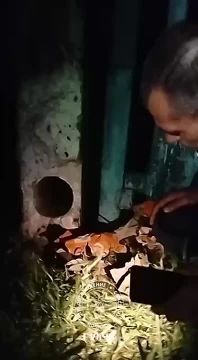 � ������� �������� ���� ���������� ��� ������ � �������� �����