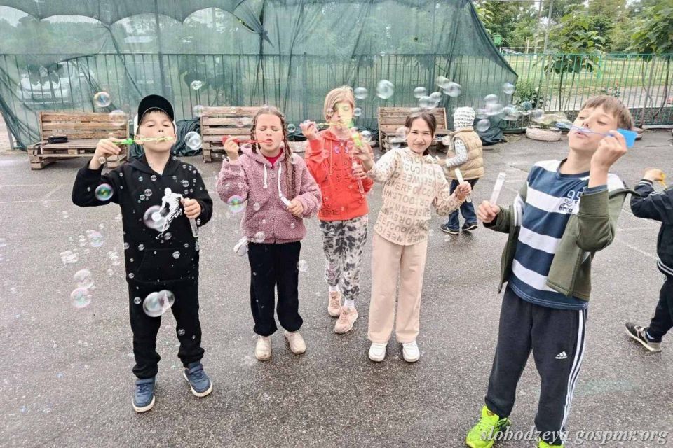 Более полутысячи школьников посещают летние оздоровительные площадки
