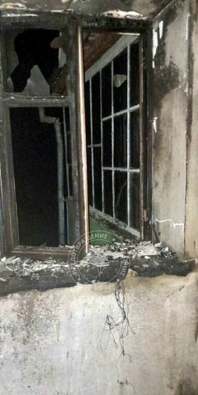 День спасений: соседи потушили пожар, а спасатели вызволили кошку День спасений: соседи потушили пожар, а спасатели вызволили кошку