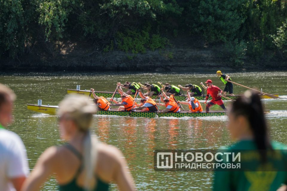 Наш фоторепортаж с V регаты «Семья Президента за ЗОЖ» Наш фоторепортаж с V регаты «Семья Президента за ЗОЖ»