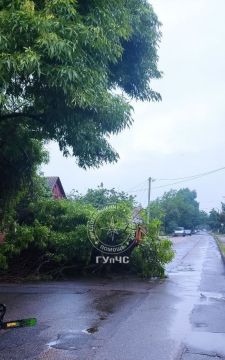 В столице, на перекрёстке улицы Восстания и бульвара Гагарина вечером 6 июня на дорогу упало дерево
