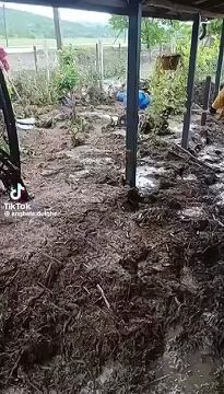 Ещё последствия непогоды. Поток смыл всю тротуарную плитку, забор и уничтожил урожай