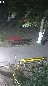 Я обращаюсь к жителям Приднестровья с просьбой помочь найти людей, которые уже неделю уничтожают мои розы