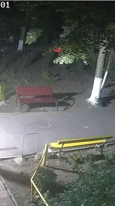 Я обращаюсь к жителям Приднестровья с просьбой помочь найти людей, которые уже неделю уничтожают мои розы